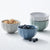 Salisbury & Co Bistro Bowl 15cm Set of 4 Assorted Colours