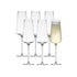 Salisbury & Co Modena Champagne Flute 280mL Set of 6