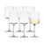 Salisbury & Co Modena White Wine Glass 420mL Set of 6