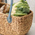 Salisbury & Co Province Carry Basket with Suede Handle Medium Grey/Blue