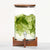 Salisbury & Co Signature Drink Dispenser with Wooden Stand 6.8L