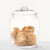 Salisbury & Co Signature Glass Cookie Jar 28cm