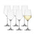 Salisbury & Co Signature White Wine Glass 440mL Set of 6