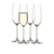 Salisbury & Co Unbreakable Champagne Flute 200mL Set of 4