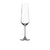 Salisbury & Co Sublime Champagne Flute Glass 200ml Set of 6