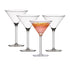 Salisbury & Co Unbreakable Martini Glass 250ml Set of 4